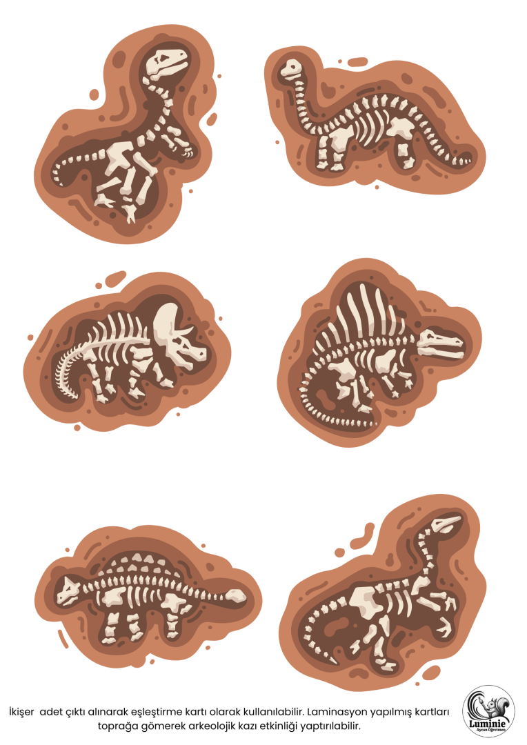 Dinozorlar Sınıf Materyali