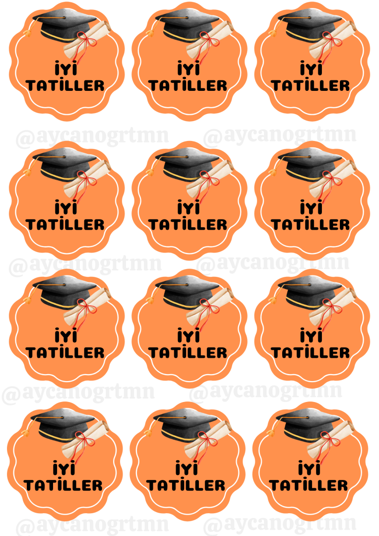 Mezuniyet Temalı Karne Kılıfı - Stickerlar