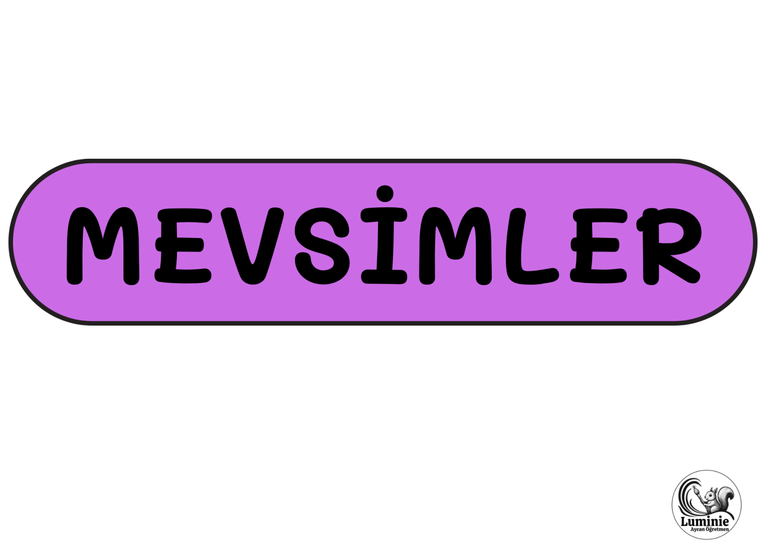 Mevsimler Sınıf Posteri