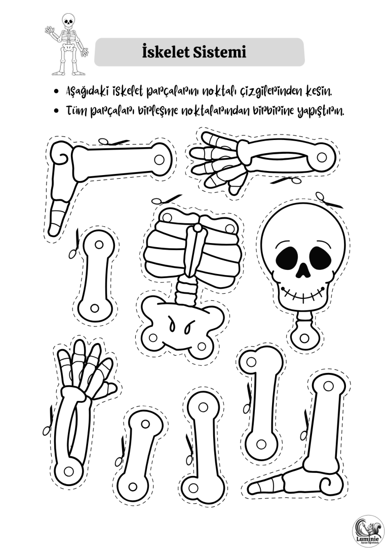 İskelet Sistemi Sanat Etkinliği