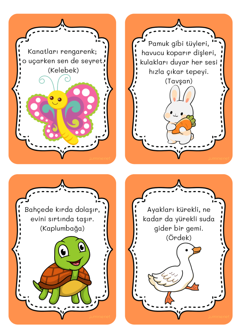 Bilmece Kartları Sınıf Matyeryalleri