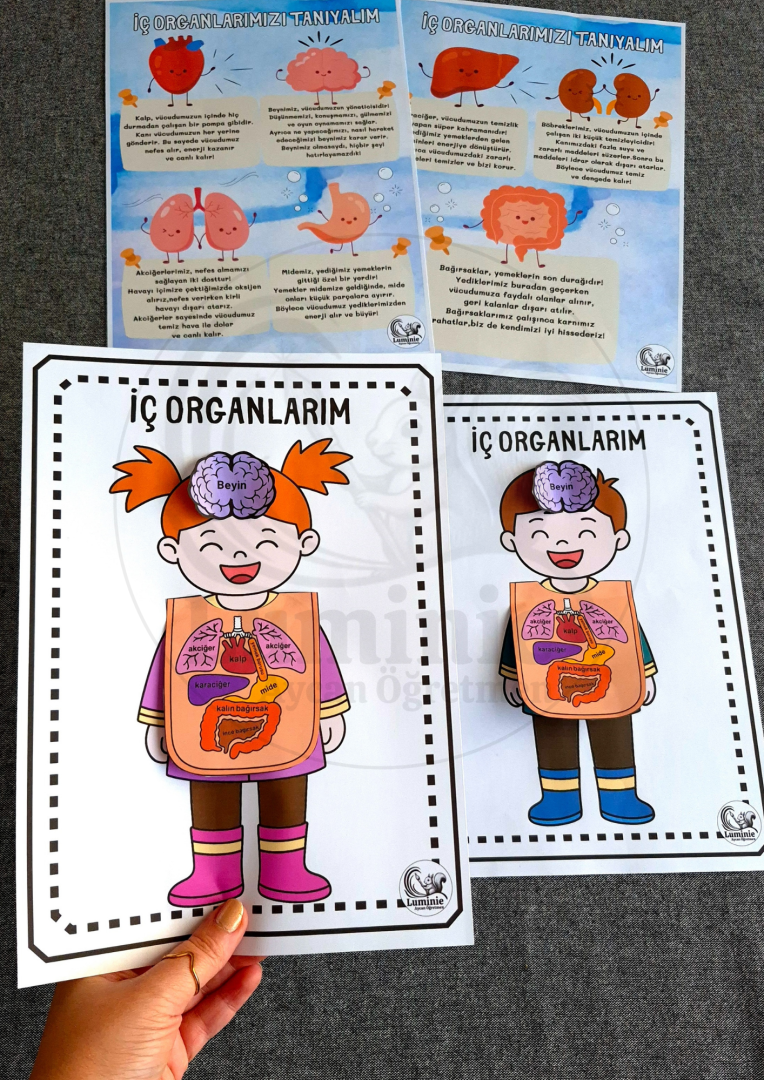 İç Organlarımız Sanat Etkinliği 1