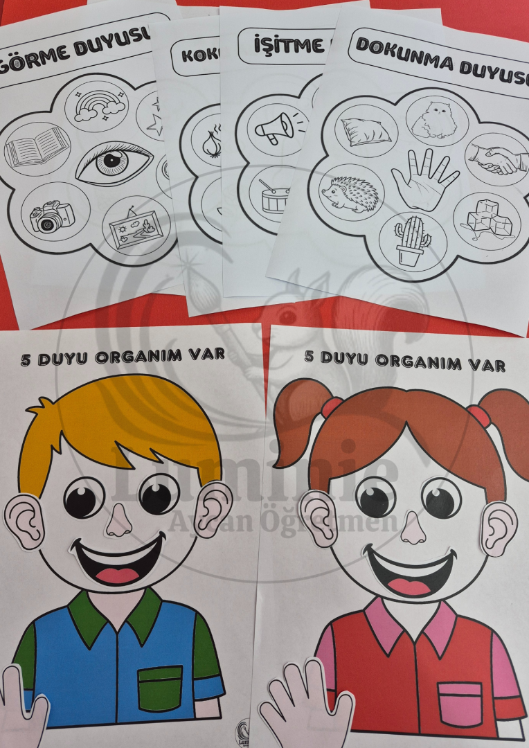 5 Duyu Organımız Sanat Etkinliği