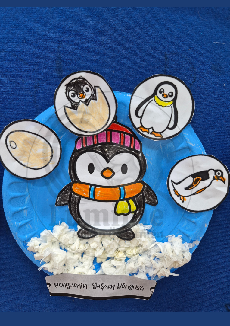 Penguenin Yaşam Döngüsü